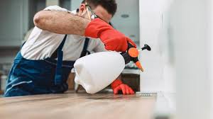 Real Estate Pest Inspections in Gastonia, NC